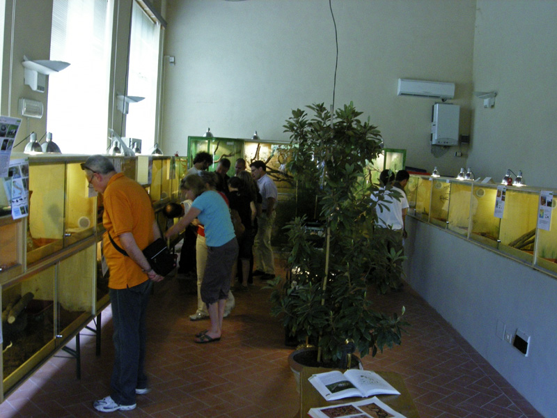 L''apertura del RETTILARIO MALENOTTI